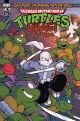 Teenage Mutant Ninja Turtles USAGI YOJIMBO SATURDAY MORNING ADVENTURES #1 A