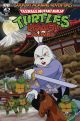 Teenage Mutant Ninja Turtles USAGI YOJIMBO SATURDAY MORNING ADVENTURES #1 B