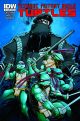 TEENAGE MUTANT NINJA TURTLES 7 A (2011)