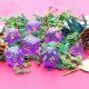 Iridescent Purple Glitter with Gold Polyhedral 7 Dice Set