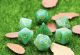 Marble Green Jade with Gold Polyhedral 7 Dice Set