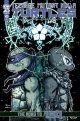 TMNT ONGOING #149 COVER B CAMPBELL & EASTMAN