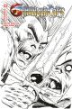 THUNDERCATS #2 CVR ZB 10 COPY FOC INCV ROB LIEFELD B&W