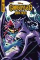 GARGOYLES DARK AGES #3 COVER D DANINO