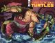 TMNT ONGOING #143 COVER C 1:10 SANCHEZ