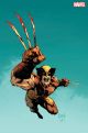 WOLVERINE #37 ONE PER STORE CAPULLO VIRGIN