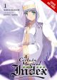 CERTAIN MAGICAL INDEX OLD TESTAMENT OMNIBUS NOVEL SC