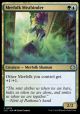 Merfolk Mistbinder