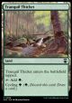 Tranquil Thicket