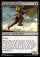 Kitesail Freebooter