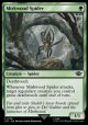 Mirkwood Spider