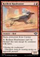 Resilient Roadrunner