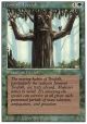 Ironroot Treefolk (Rvsd)