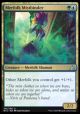 Merfolk Mistbinder