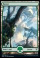 Forest (278) - Full Art