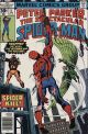 SPECTACULAR SPIDER-MAN 5