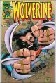 WOLVERINE 145 Dynamic Forces Exclusive Holofoil Chrome Cover