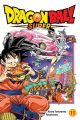 DRAGON BALL SUPER GN 11