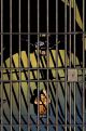 DETECTIVE COMICS #1048 COVER C  1:25 JORGE FORNES CARD STOCK