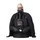 STAR WARS RETURN OF THE JEDI DARTH VADER UNHELMETED 1/6 SCALE BUST