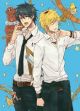 HITORIJIME MY HERO GN VOL 11