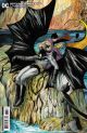 DETECTIVE COMICS #1066 COVER D 1:25 COLLEEN DORAN CARD STOCK VARIANT