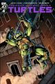 TEENAGE MUTANT NINJA TURTLES 2024 #4 1:50 ROBERTSON