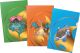 Pokemon Tournament Folio 3Pk