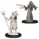 Dungeons & Dragons: W9: Male Elf Wizard