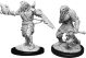 Dungeons & Dragons: W11: Male Dragonborn Paladin