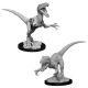 WizKids Deep Cuts: W11: Raptors