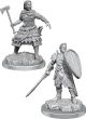 Dungeons & Dragons Nolzur's Marvelous Miniatures: W21 Human Fighters