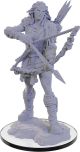 Dungeons & Dragons Nolzur's Marvelous W22 Wood Giant