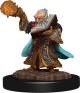 Dungeons & Dragons: Premium Painted: W5: Gnome Wizard Male