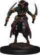 Dungeons & Dragons: Premium Painted: W6: Tiefling Rogue Female