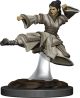 Dungeons & Dragons: Premium Painted: W6: Human Monk Female