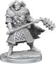 D&D Frameworks Human Fighter Male W1