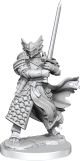 D&D Frameworks Dragonborn Paladin Male W1