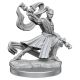 D&D Frameworks Elf Monk Male W1