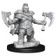 D&D Frameworks Dwarf Barbarian Female W1