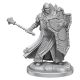 D&D Frameworks Human Cleric Male W1