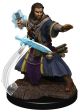 Dungeons & Dragons: Premium Painted: W5: Human Wizard Male